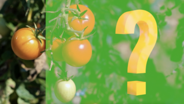 Farm to Table Graphic